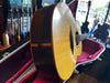 McIlroy A30 Rosewood/Spruce