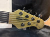 Ernie Ball Ball Family Reserve John Petrucci Signature Majesty 6 Dargie Green 2019