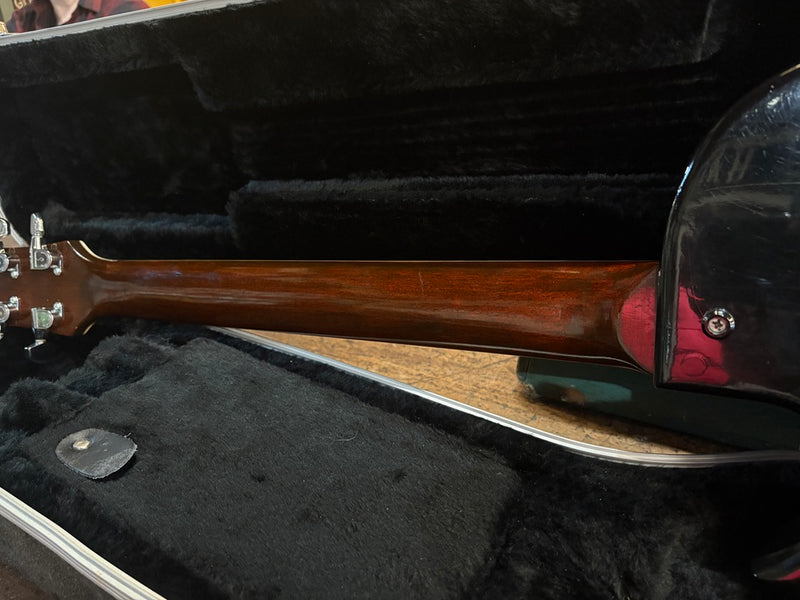 Degay Guitars Zemaitis Style Black
