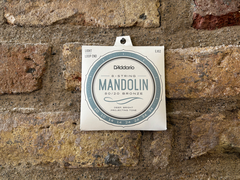 D'ADDARIO EJ62 CORDE PER MANDOLINO BRONZE 80/20