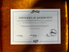 Baum Wingman Original Series Dolphin Blue