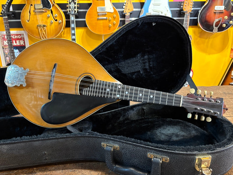 Lyon & Healy Style C Mandolin 1910's