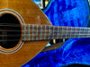 Fylde Octavius Bouzouki Natural