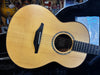 McIlroy AS57 Cocobolo/Adirondack Spruce 2021
