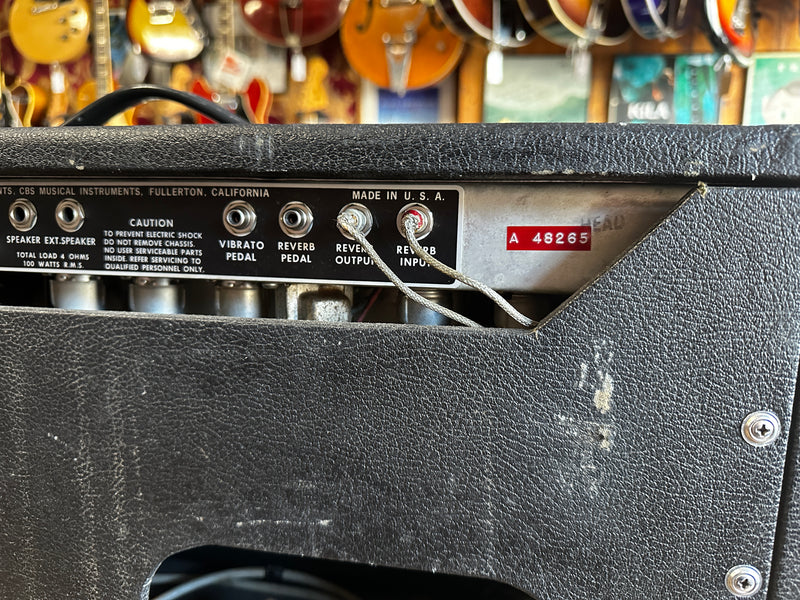 Fender Dual Showman Reverb Head 1972