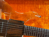 Ampeg Dan Armstrong Lucite Ex. Mike Scott 1971