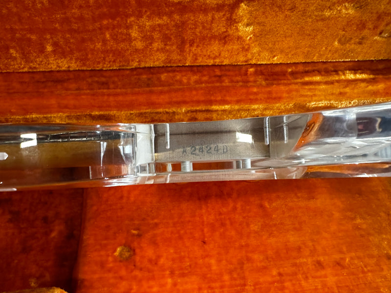 Ampeg Dan Armstrong Lucite Ex. Mike Scott 1971