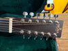 Sigma DM12E 12-String Natural