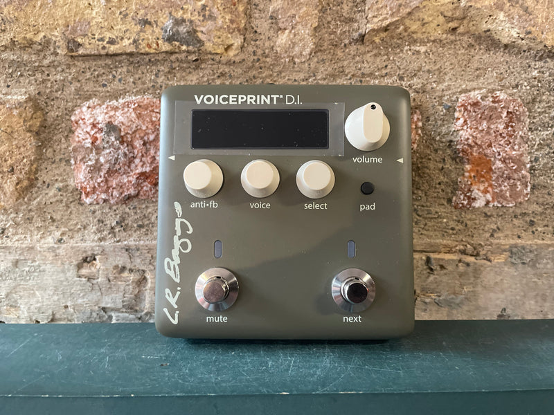 LR Baggs Voiceprint DI Acoustic Guitar Impulse Response