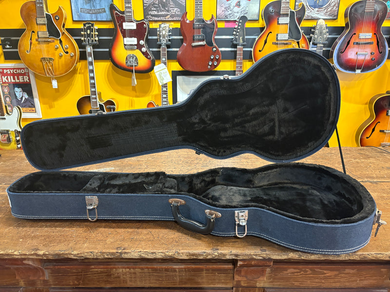 Generic Les Paul Case