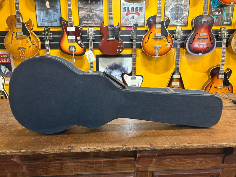 Generic Les Paul Case