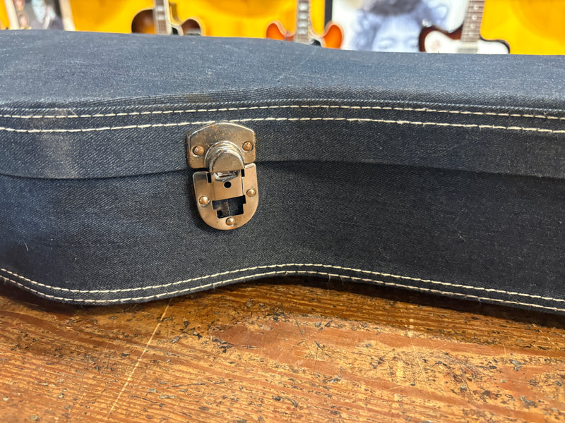 Generic Les Paul Case