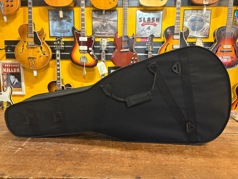 LG/00 Acoustic Soft Shell Case