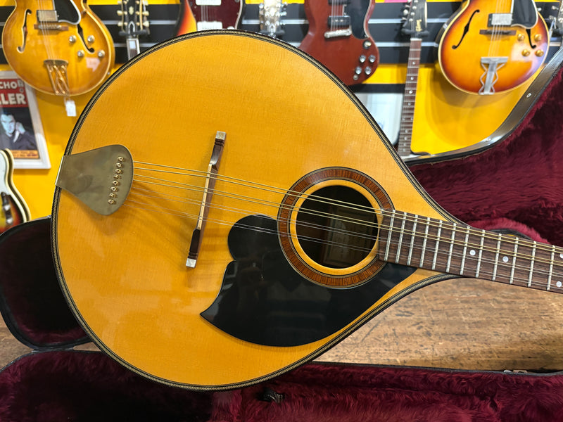 Joe Foley Bouzouki 2003