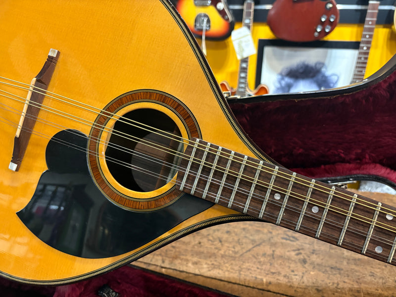 Joe Foley Bouzouki 2003