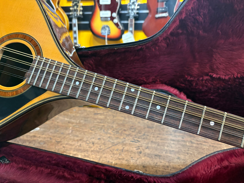 Joe Foley Bouzouki 2003