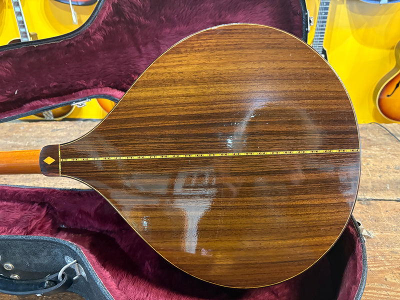 Joe Foley Bouzouki 2003