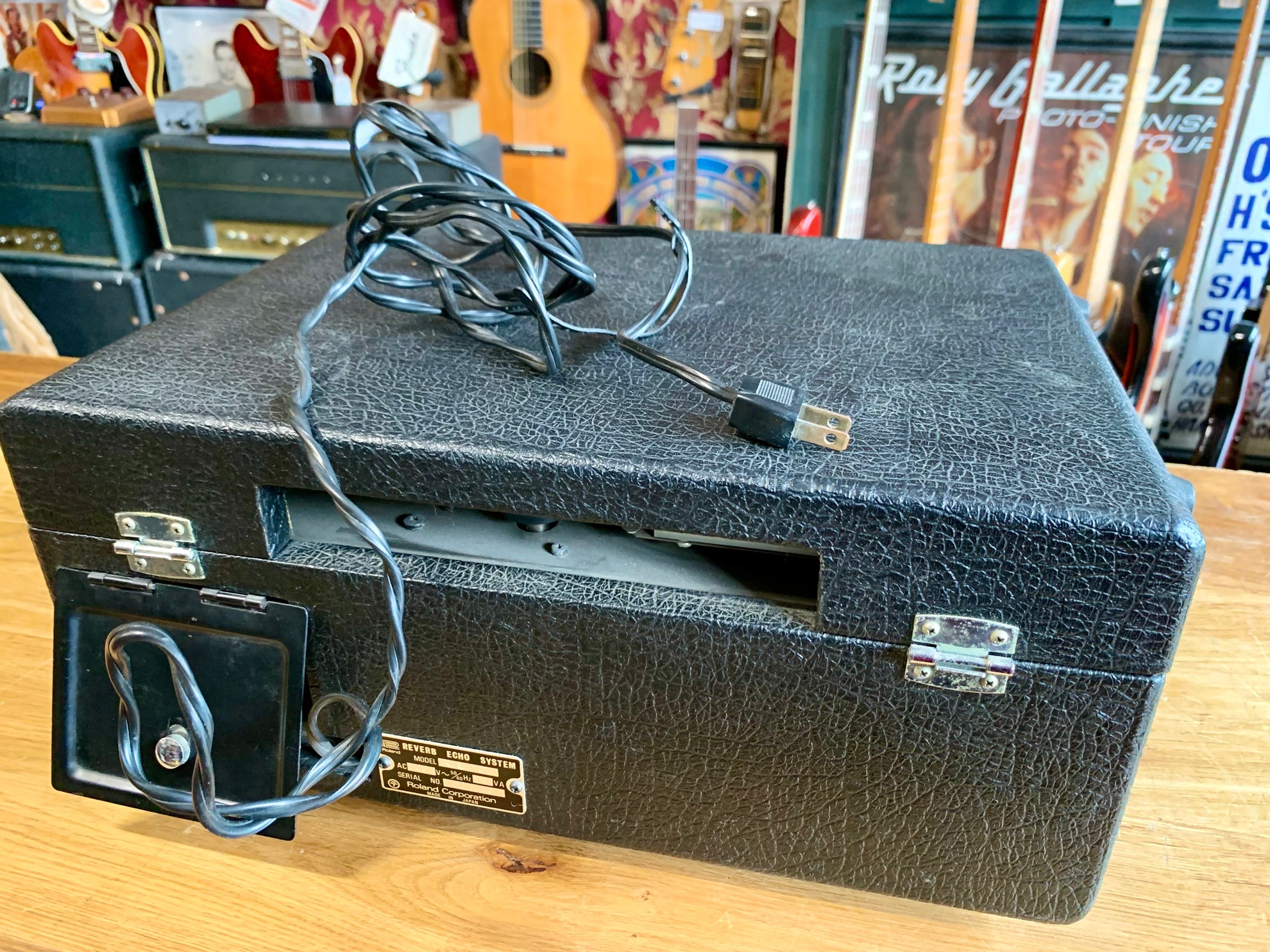 Roland RE-101 Space Echo - Some Neck Guitars Roland RE-101 Space Echo - Some Neck Guitars