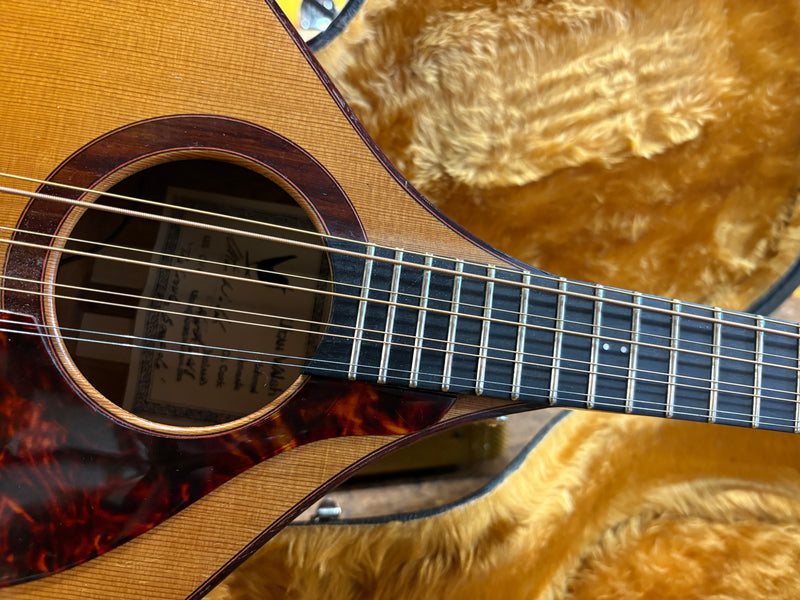 Ultan Walsh Irish Bouzouki 2018