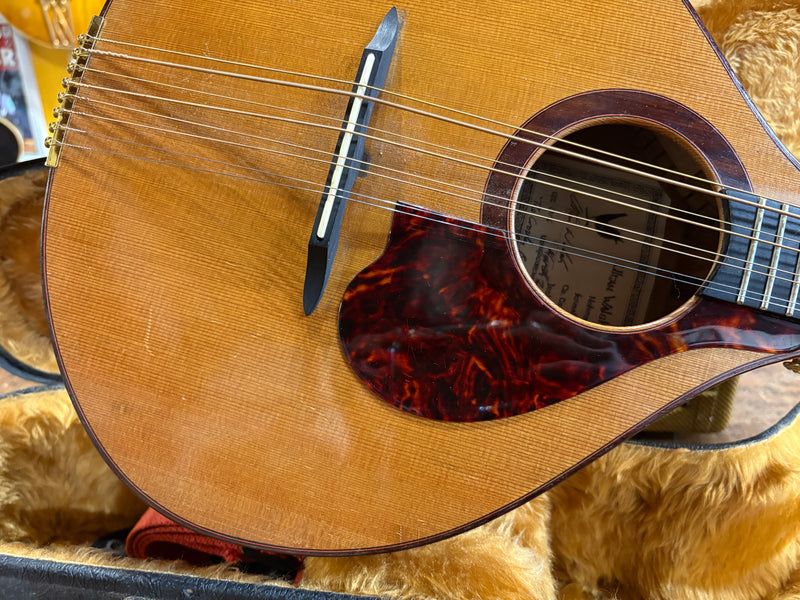 Ultan Walsh Irish Bouzouki 2018