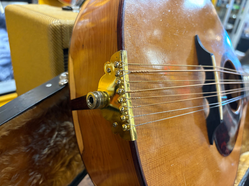 Ultan Walsh Irish Bouzouki 2018