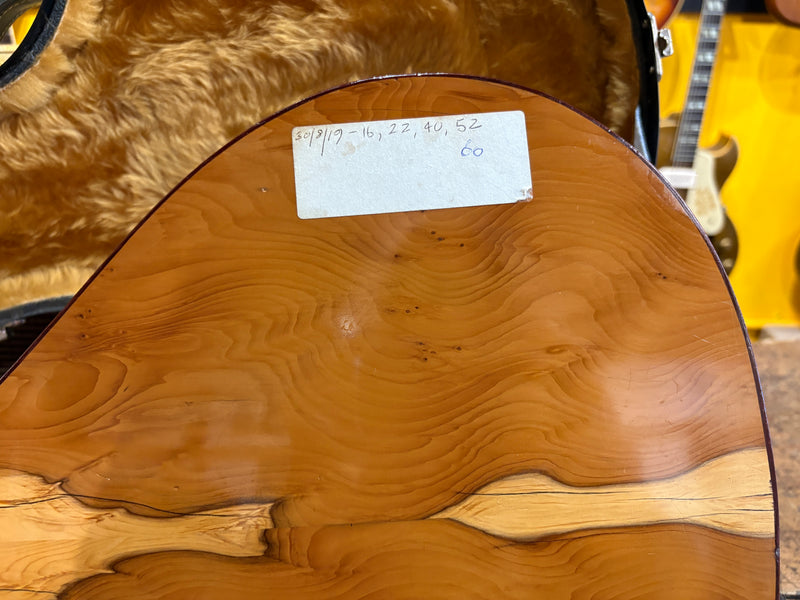 Ultan Walsh Irish Bouzouki 2018