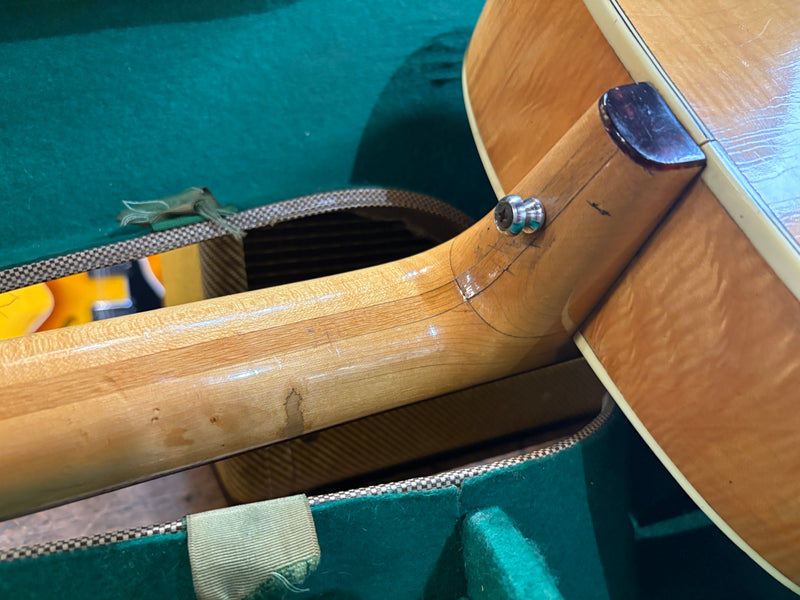 Hofner Senator Natural 1961