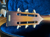 National Style O Replicon 12 Fret 2020