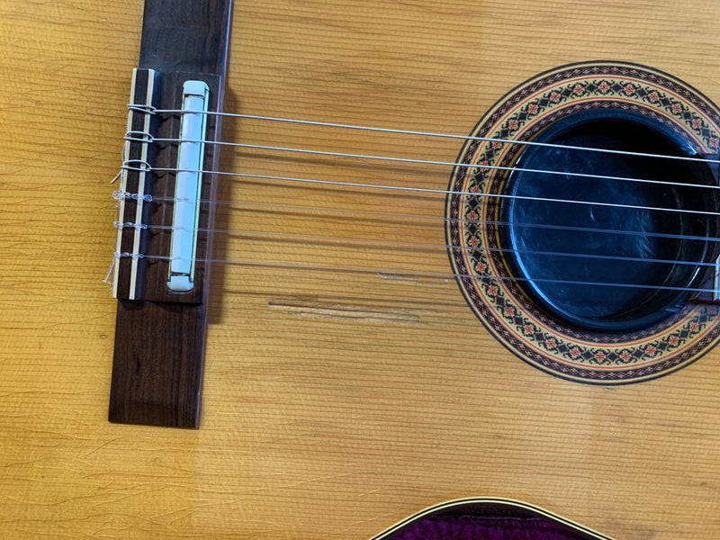 Gibson Chet Atkins CE 1991