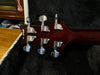 PRS 25th Anniversary Custom 24 10-Top 2010