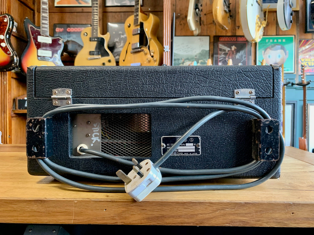 Roland RE501 Chorus Echo Some Neck Guitars