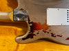 Fender Custom Shop Rory Gallagher Stratocaster 2013