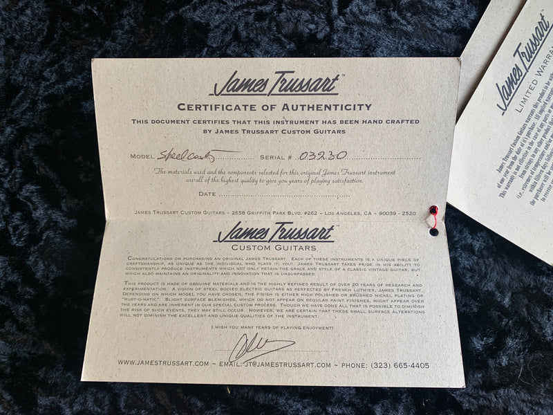James Trussart Steelcaster 2002