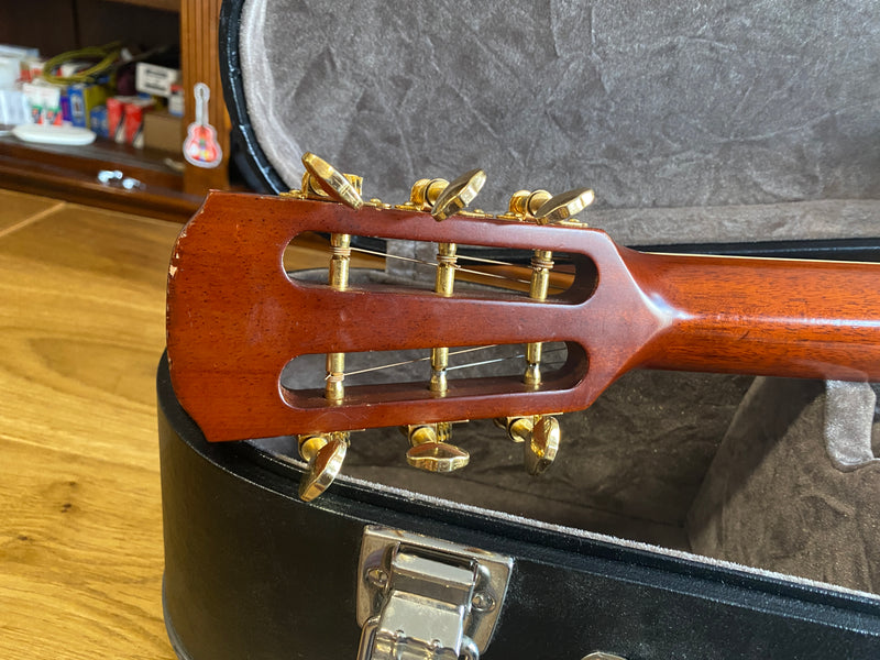 Alvarez Yairi DYM95V Master Series
