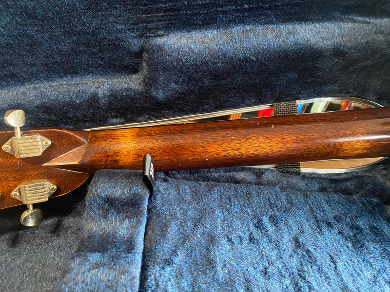 Martin D-28 Rich Robinson 2022