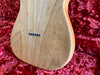 Fender Telecaster Thinline 1969