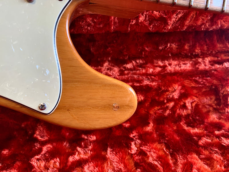 Fender Telecaster Thinline 1969