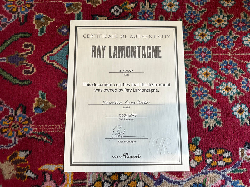 Magnatone Super Fifteen (Ex. Ray LaMontagne)