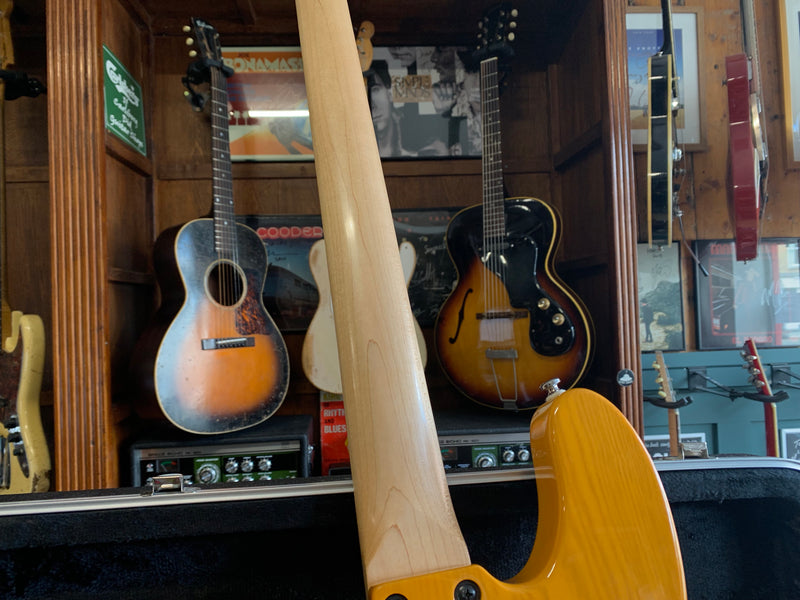 Lakland Skyline 44-51