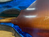 Vega Cylinder Back Presentation Model 207 Mandolin 1915