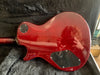 PRS SC 245 2009
