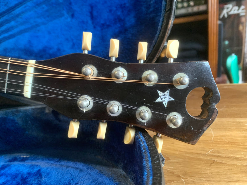 Vega Cylinder Back Presentation Model 207 Mandolin 1915