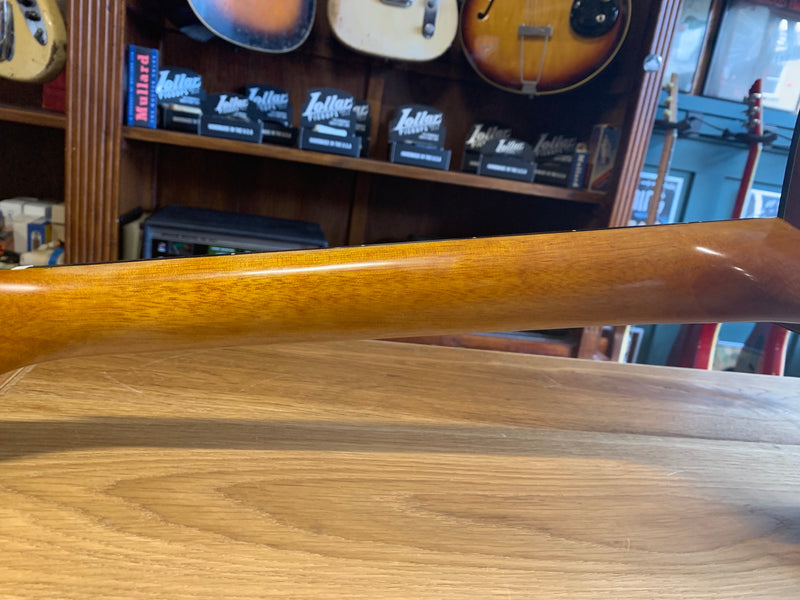 Walden D550CE