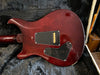 PRS 25th Anniversary Custom 24 10-Top 2010