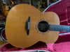 McIlroy AJP35 Custom Rosewood/Red Cedar 2010