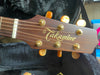 Takamine P3D