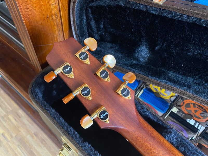 Takamine P3D