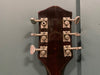 Gretsch 6119 Chet Atkins Tennessean 1965