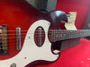 Silvertone 1457 w/ Amp Case 1965