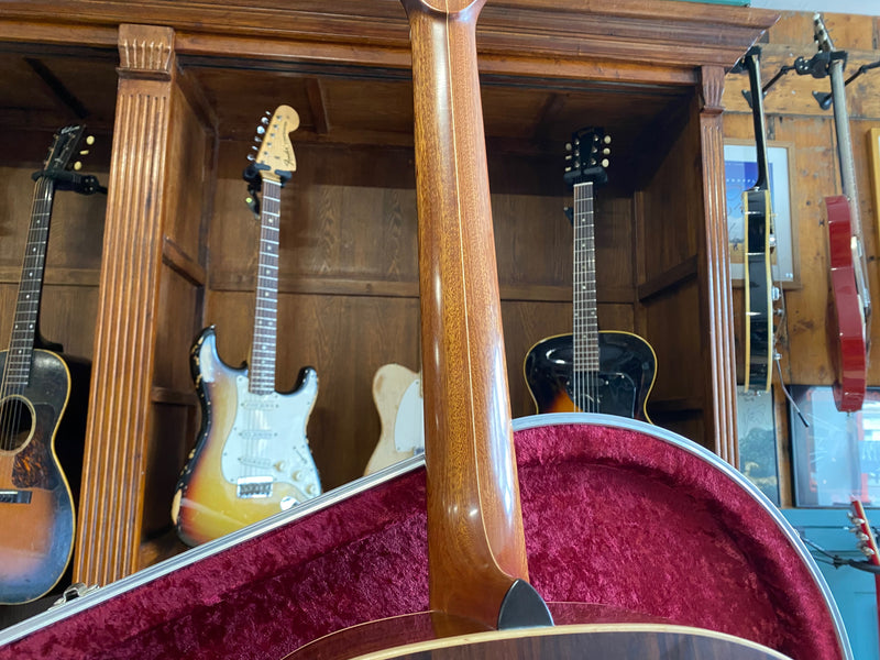 Avalon Guitars Pioneer A2-20